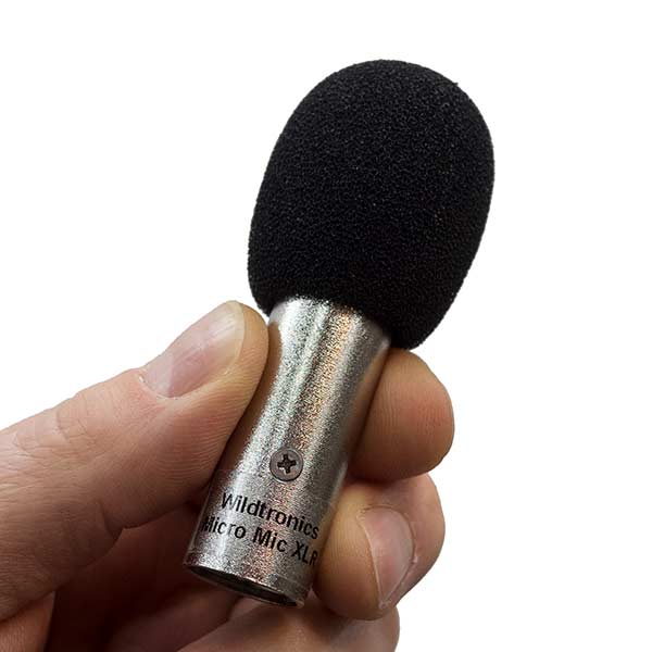 Wildtronics Micro Mic XLR Omni Microphone